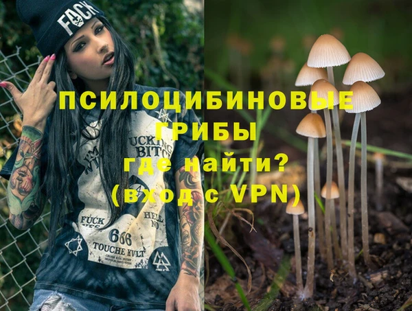 ECSTASY Алзамай
