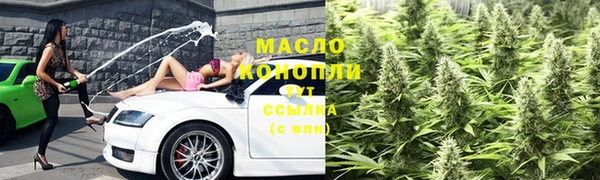 ECSTASY Алзамай