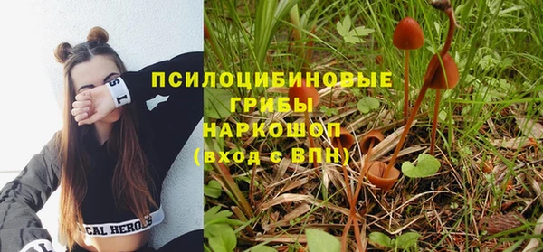 твердый Алексин