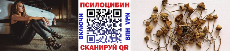 Псилоцибиновые грибы мухоморы Северодвинск