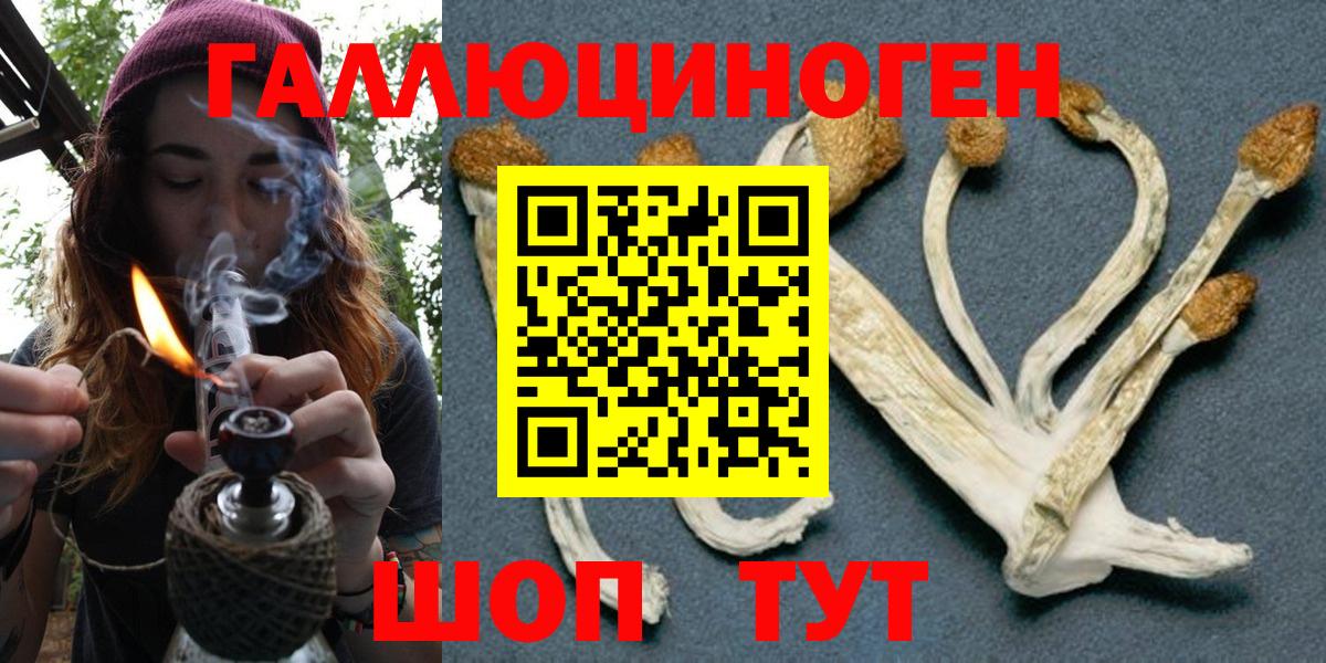 Северодвинск  Галлюциногенные грибы MAGIC MUSHROOMS  Вход с VPN 