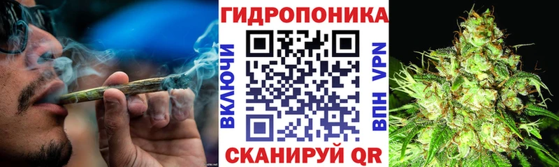 МЕГА ССЫЛКА  как найти закладки  дарк нет состав  МАРИХУАНА SATIVA & INDICA  Северодвинск 